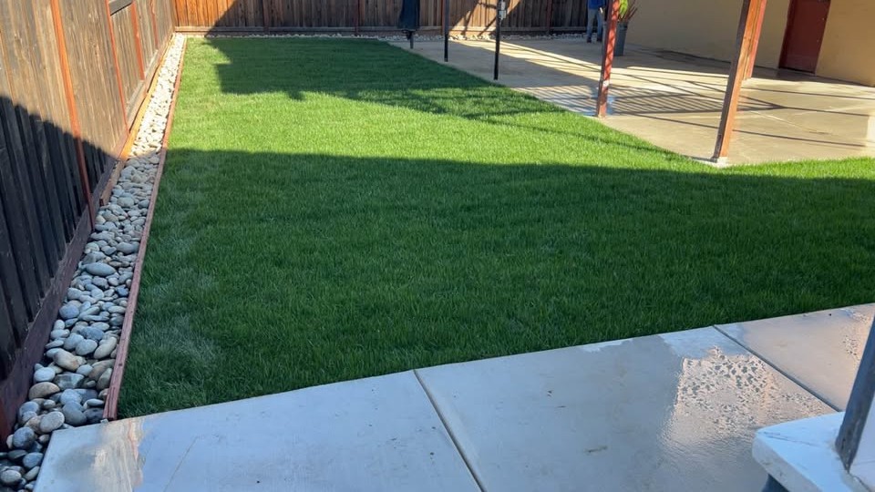 Fresh green lawn, concrete walkway, and landscape rock beside a fenced yard